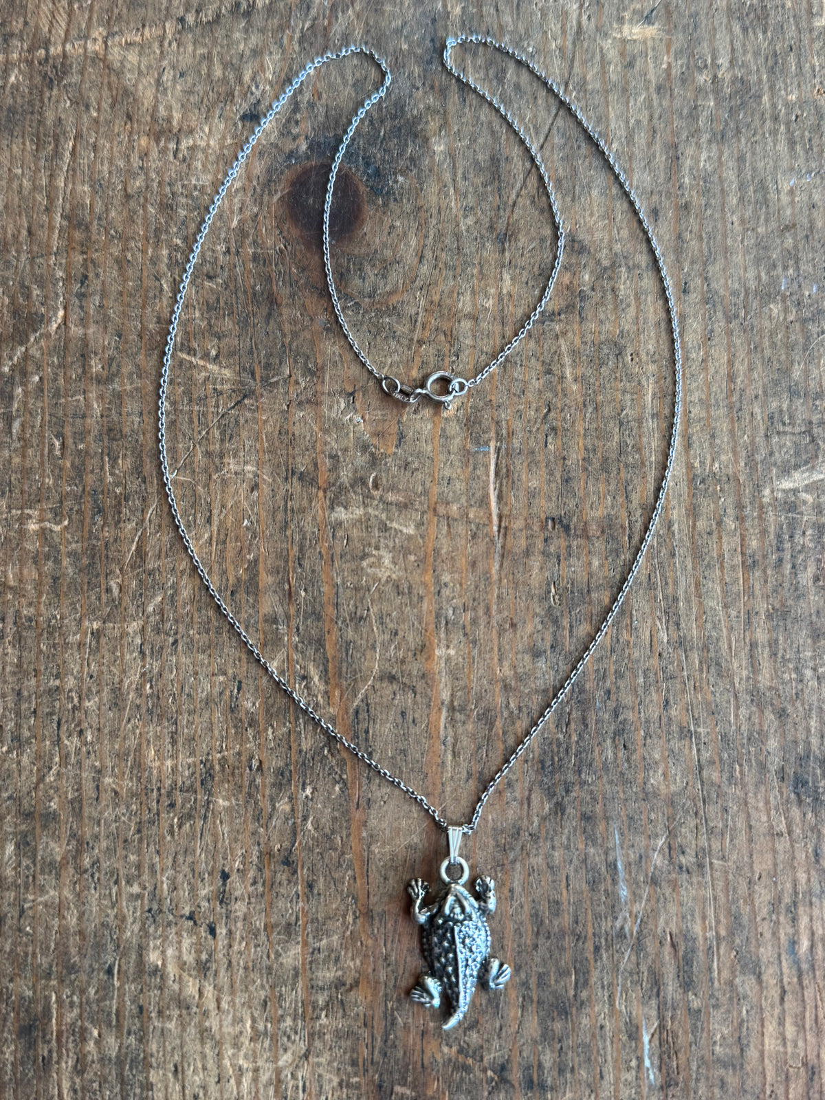 Vintage Sterling Silver Horned Toad Necklace
