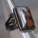 Vintage Sterling Petrified Wood Ring 5.75