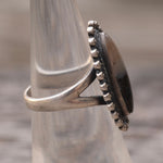Vintage Sterling Petrified Wood Ring 5.25