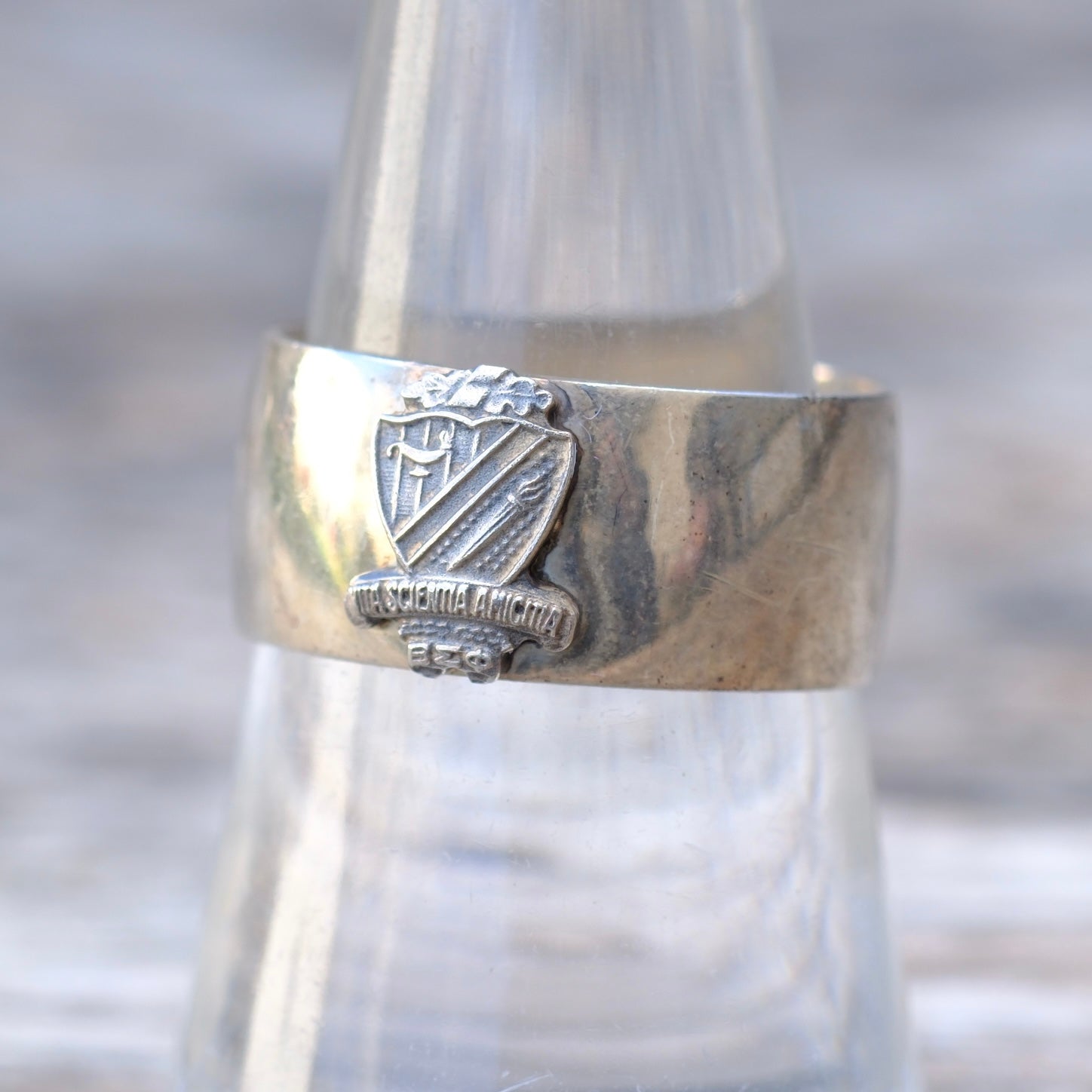 Silver ring with a crest design on a blurred background