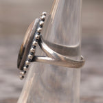 Vintage Sterling Petrified Wood Ring 5.25