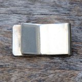 Vintage Turquoise Feather Money Clip