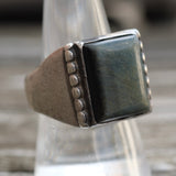 Vintage Sterling Dark Tigers Eye Signet Ring 9