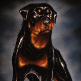 Framed Rottweiler Velvet Painting