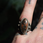 Vintage Sterling Petrified Wood Ring 5.75