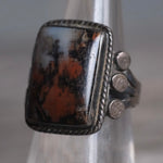 Vintage Sterling Petrified Wood Ring 5.75