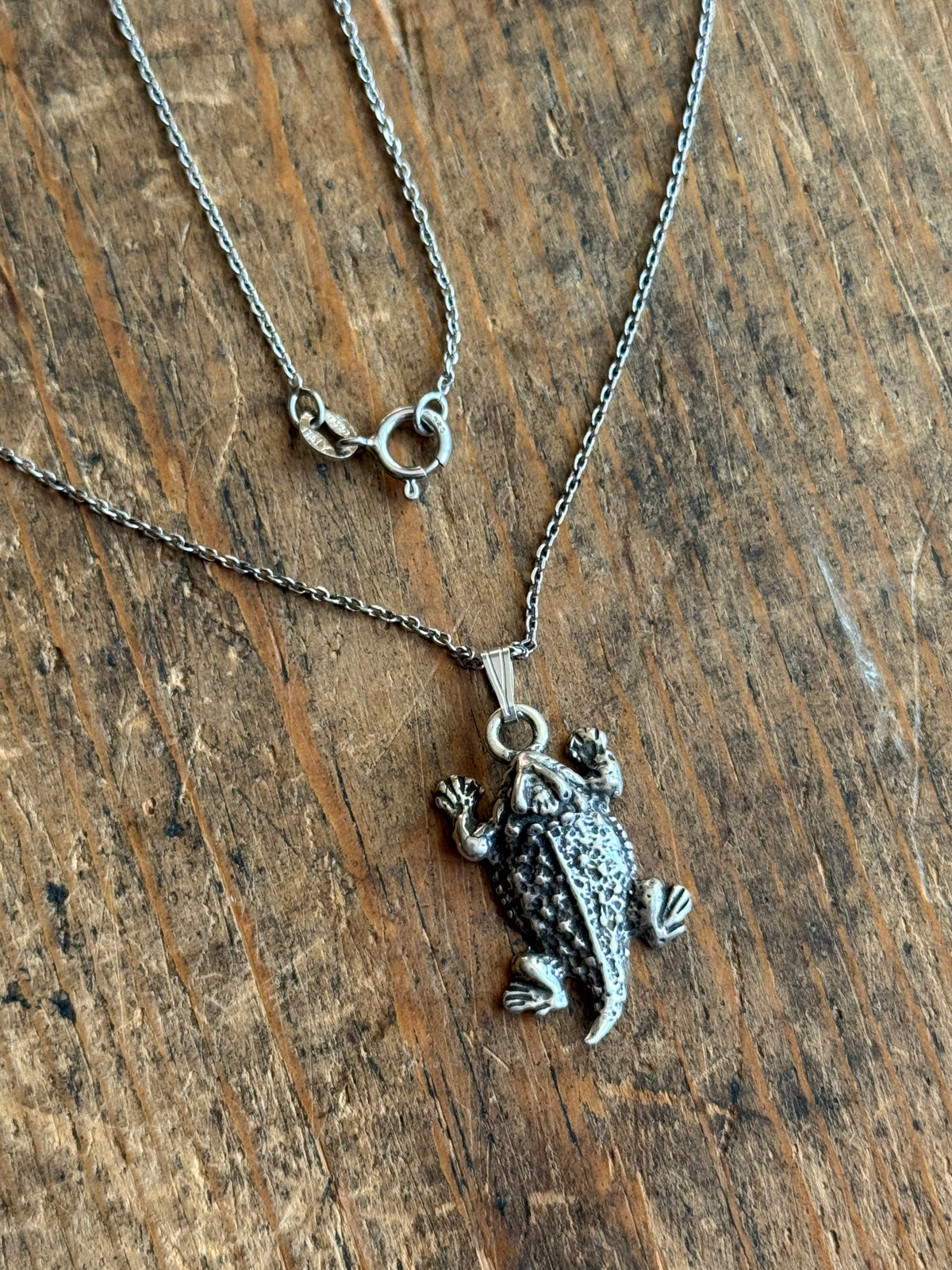 Vintage Sterling Silver Horned Toad Necklace