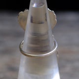 Vintage Sterling 2-Stone Turquoise Feather Ring 4.5