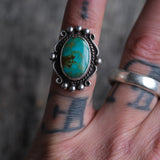 Vintage Sterling Royston Turquoise Ring 4