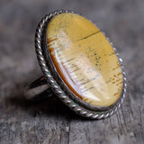 Vintage Sterling Jasper Roper Ring 8.75