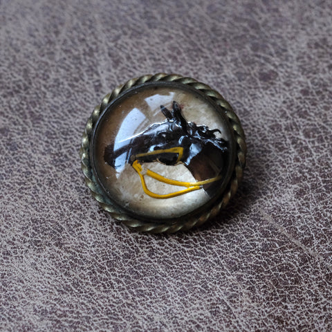 Vintage Hand Painted Horse In Resin Pin