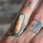 Vintage Sterling Abalone Ring 6