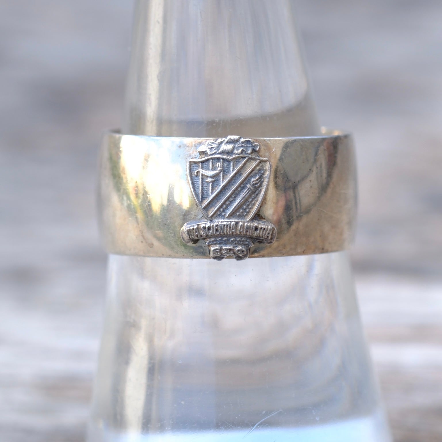 Silver ring with emblem on a blurred background