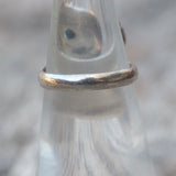 Vintage Sterling 2-Stone Turquoise Ring 4.75